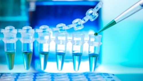 瑞士罗氏制药公司3.8亿欧元收购都柏林生物技术公司inflazome